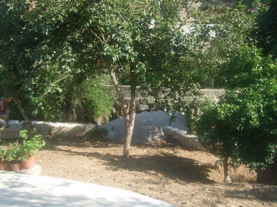Villa Casa Moinhos Do Rio à Paredes  Extérieur photo